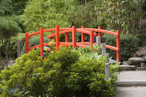 From renting to owning: a millennial's journey