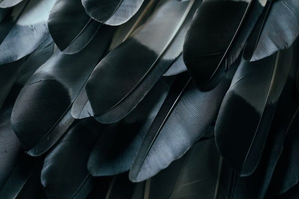 Tips for healthy and radiant skin